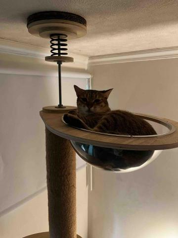 GoGo RUN🐕🐈 - 主子：學長