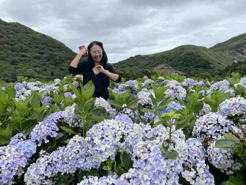 大周小包車 - 繡球花