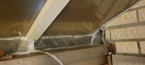 安能除蟲 - 封堵