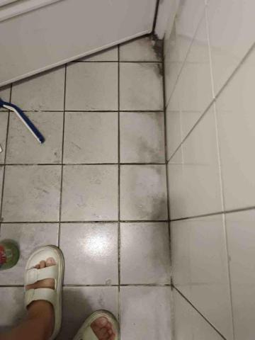 大熊個人清潔工作室 - 除霉