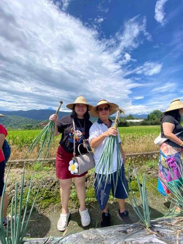 大周小包車 - 星寶蔥