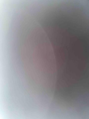 提供保姆服務的專家林