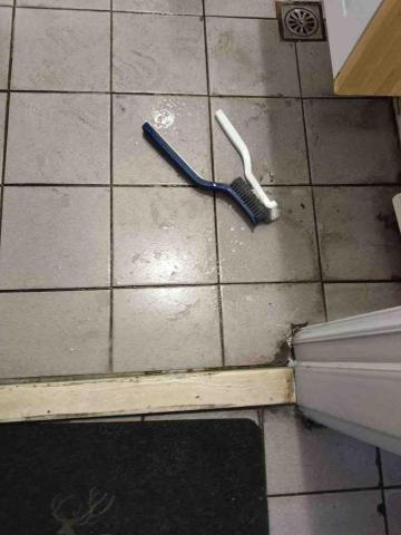 大熊個人清潔工作室 - 除霉