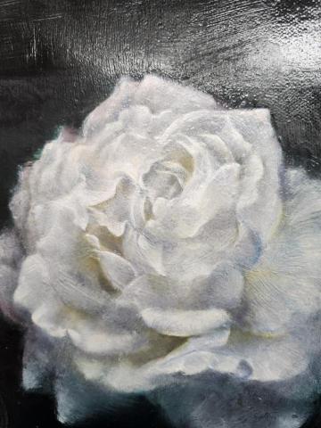 陳芃蓁 - 油畫／玫瑰