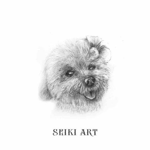 SEIKI設計 - 基礎素描 SEIKI設計 - 基礎素描