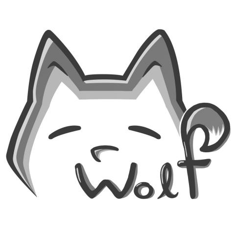 提供uiux服務的專家Wolf P