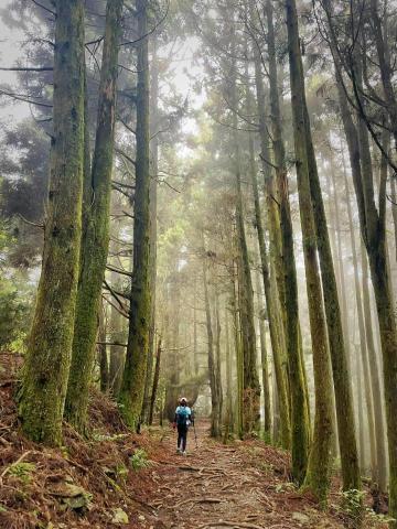 山與行 - 帶人走馬崙山