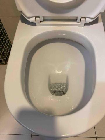 高慧琴(楽凈專業居家清潔) - 9/24 清潔後 高慧琴(楽凈專業居家清潔) - 9/24 清潔後