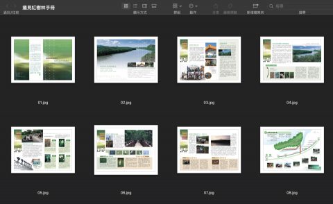 何小姐 - 遠見雜誌紅樹林導覽手冊