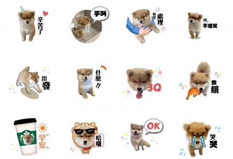 ITISBEENOW - 寵物特製LINE 貼圖，皆可客製化