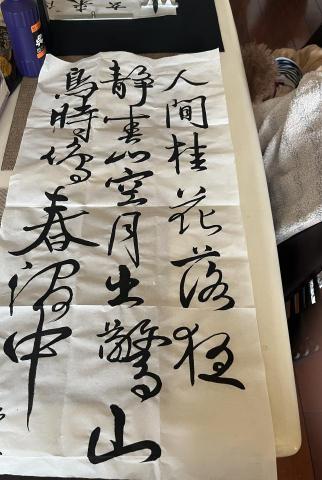 木魚 - 休閒技藝
書齡一年