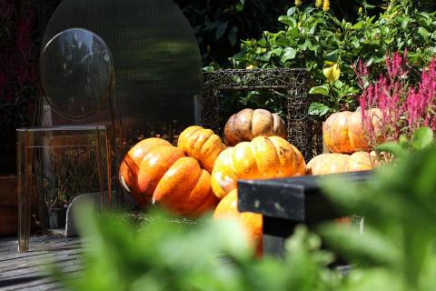 維斯特設計 - 萬聖節裝置設計/攝影