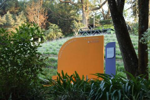 維斯特設計 - 場域-裝置設計