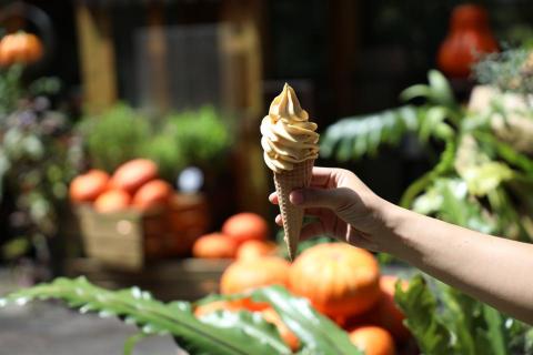 維斯特設計 - 食物攝影