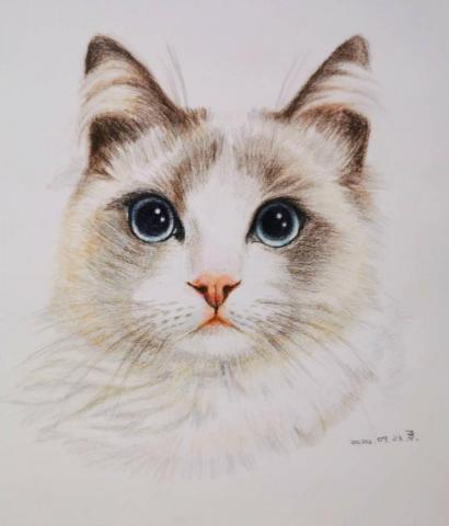 小星人繪繪課 - 色鉛筆 / 寵物似顏繪