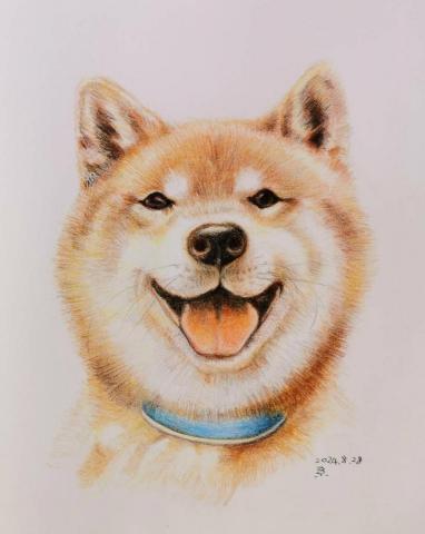 小星人繪繪課 - 色鉛筆 / 寵物似顏繪