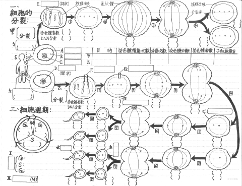ProTutor 林育審 - 細胞分裂與細胞週期
