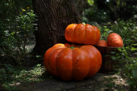 維斯特設計 - 萬聖節裝置設計/攝影