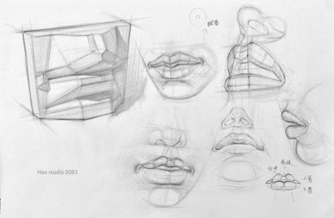 Han studio  邱柏翰 - 嘴唇結構分析介紹，

在畫人像時，理解人體部位的構造很重要的課題
深入學習後可以做出畫在什麼位置上的判斷

如果你想學習人像素描，請立即洽詢我們!
課堂有完整教學方法能讓你聽懂及學會