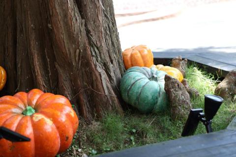 維斯特設計 - 萬聖節裝置設計/攝影