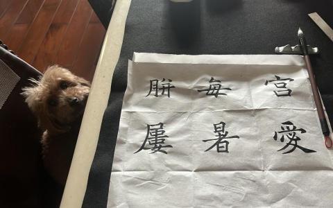 木魚 - 休閒技藝
持續進修中