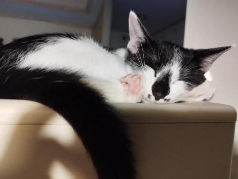 提供到府接睫毛台北服務的專家Grace