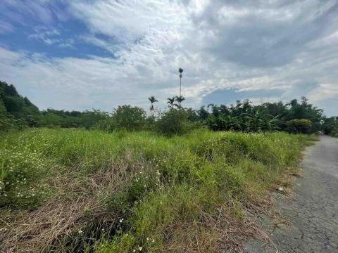 完美工程 - 1.割草前