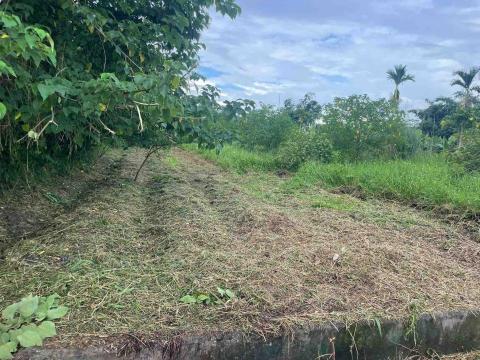 完美工程 - 2.割草完成30%