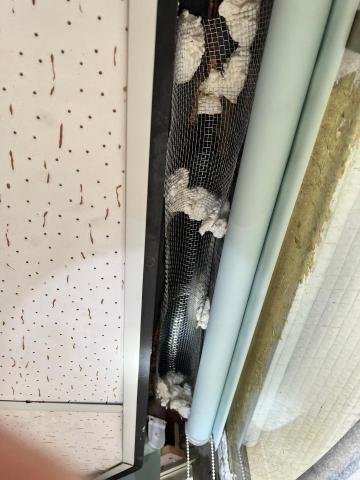 蕭聖祐 - 鼠害防治做改善建物缺失防止鼠害入侵