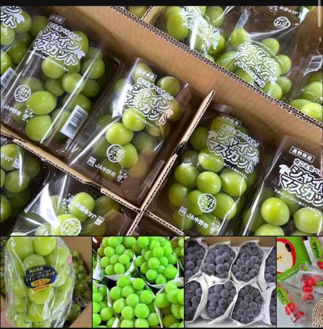 林岱樺 - 專業水果代購