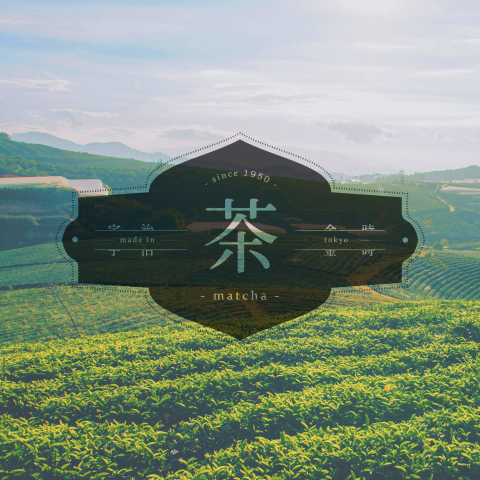 黃莘彧 - 商業字體圖文排版