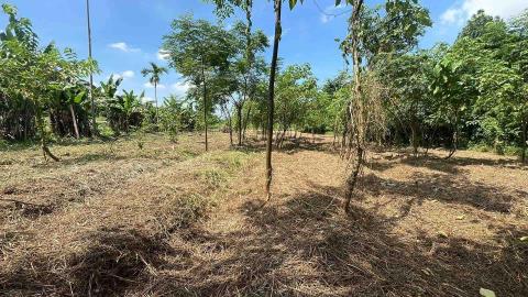 完美工程 - 4.割草完成的95%（完全處理好的在影片）