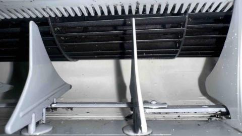 張嘉安 - 清洗後