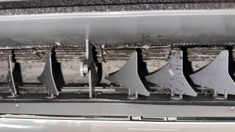 張嘉安 -  清洗前