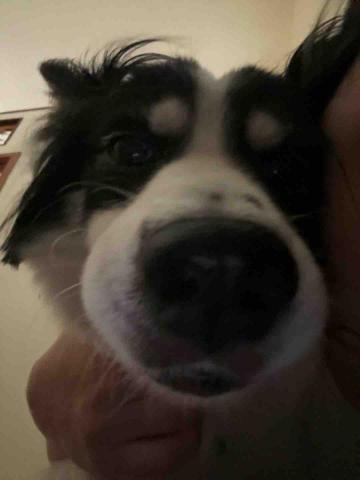 楊楊 - 9年的寶貝