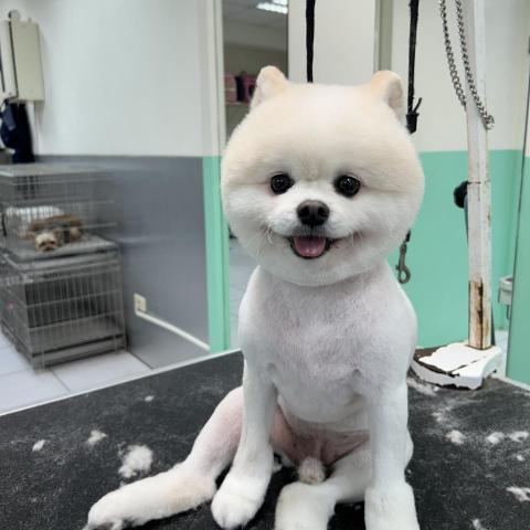 王雅玲 - 3mm靴子