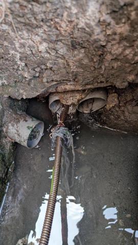 屏東包通信立衛生服務行 - 排水管異物排除