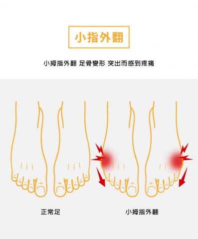 薩摩獺獺 - 向量素材繪製