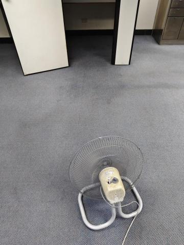 陳福正 - 屏東台銀地毯清洗後
