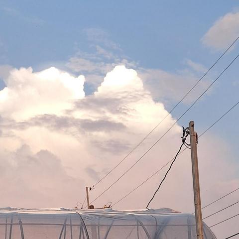 提供兼職工作彰化服務的專家娜如