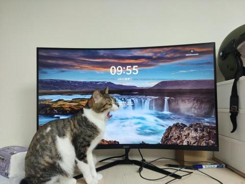 提供抖音tiktok服務的專家周周