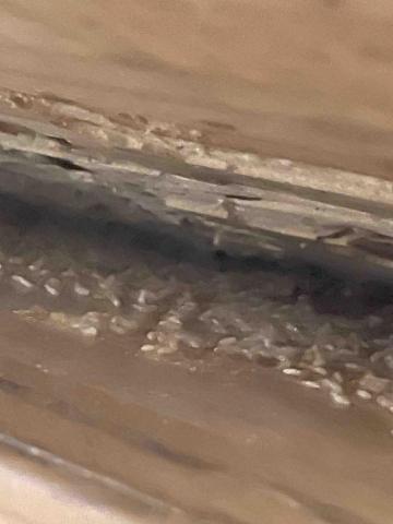 力衍病媒防治有限公司 - 