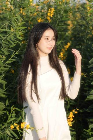 提供matlab用途服務的專家V illustration