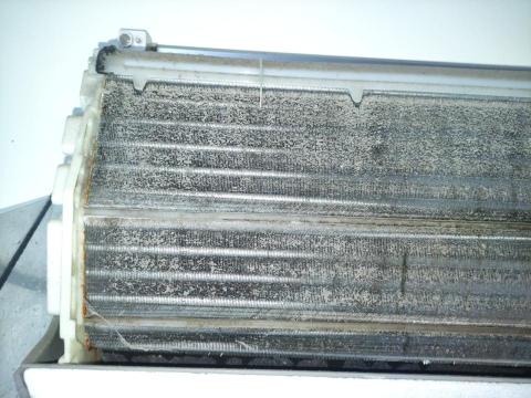 一人速洗 -  一人速洗 -