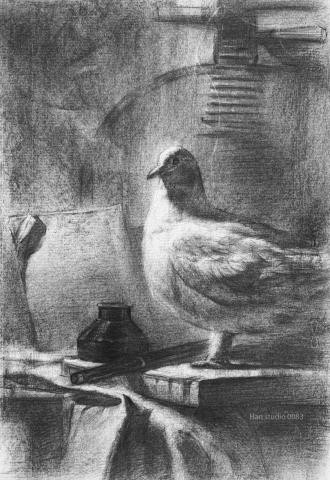 Han studio  邱柏翰 - 鳥類靜物炭筆素描課堂示範，如果你想了解如何安排畫面，或是想學習如何使用炭筆表現，請立即洽詢課程，我們課堂上有系統方法能讓你學會如何表現