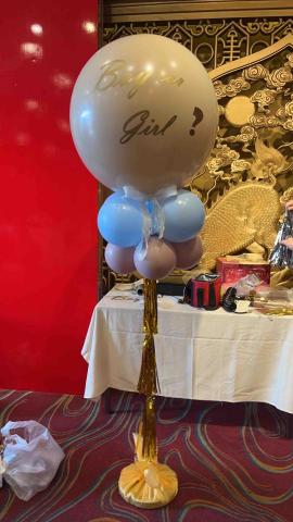 鄭宇翔 - 性別揭曉爆破球