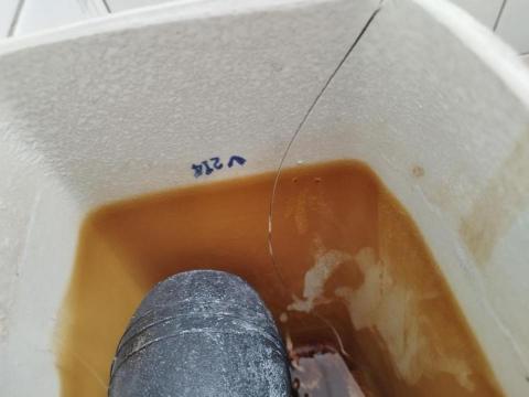 周昆興 - 馬桶水箱破裂修繕（前）