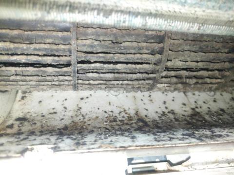 一人速洗 -  一人速洗 -