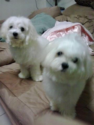 提供電子報繳稅服務的專家橘🍊傳媒體電子報