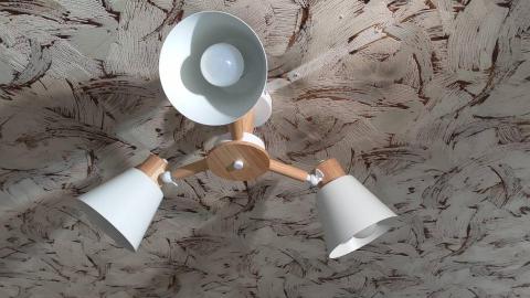 張先生 - 吊燈更換